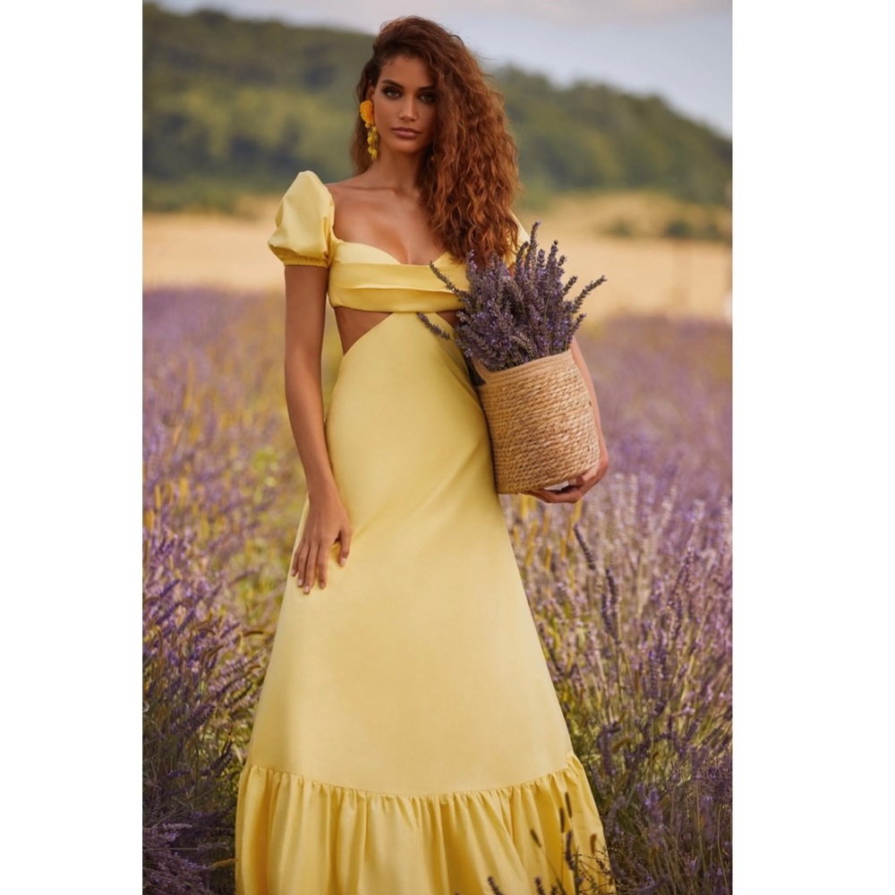 COPY - NWT Alamour The Label Kasia Dress